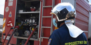 Πυρκαγιά σε χορτολιβαδική έκταση στην περιοχή Γάια Ευβοίας