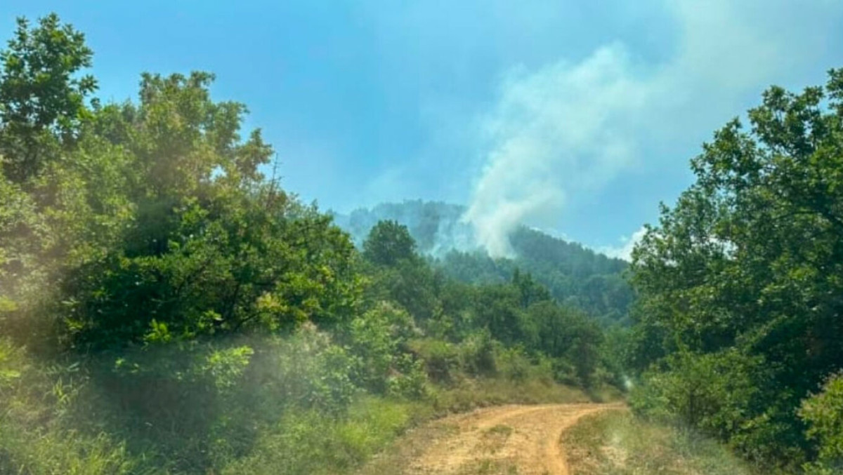 Φωτιά στην Καρδίτσα - 25 πυροσβέστες επιχειρούν στην περιοχή