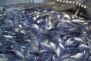 ΥΠΑΑΤ: Προτάσεις για την προστασία του αλιευτικού πλούτου