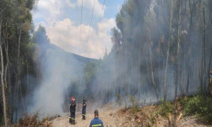 Οριοθετήθηκε φωτιά στην Ψάθα- Συνδρομή και εναέριων μέσων