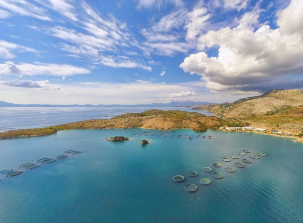 Η Cooke ανακοίνωσε προκαταρκτική συμφωνία για την απόκτηση του χρέους της Avramar Ελλάδας