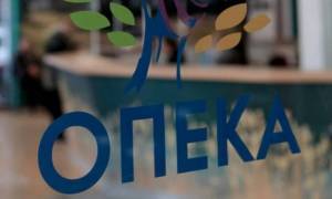 Θα καθυστερήσει το άνοιγμα της πλατφόρμας για το επίδομα παιδιού