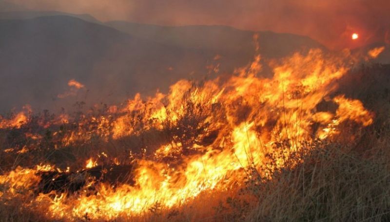 Σε εξέλιξη πυρκαγιά στην περιοχή Μαζαράκι