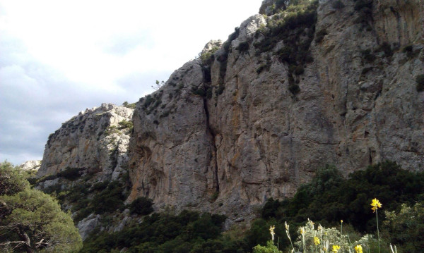 Πάρνηθα: Επιχείρηση διάσωσης γυναίκας μετά από πτώση 20 μέτρων σε γκρεμό