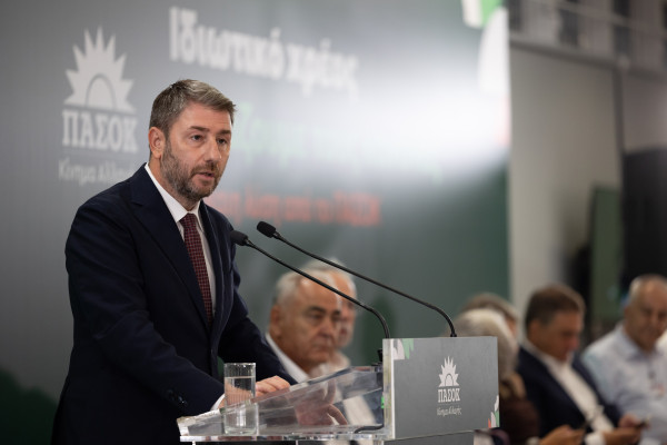 Ανδρουλάκης: Η Πολιτεία να διερευνήσει τα αίτια της πτώσης του αεροσκάφους