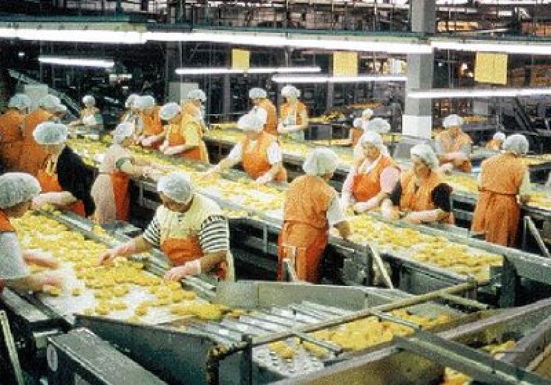 Venus Growers: Ετοιμάζει πλώρη για Ινδία- Πάνω από 70 εκατ. ευρώ οι φετινές πωλήσεις