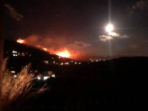 Υπό μερικό έλεγχο η φωτιά στην Τήνο