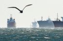 H κρίση πλήττει και την Globus Maritime του Γιώργου Φειδάκη