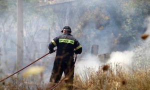 Τρεις συλλήψεις για εμπρησμό σε Ραφήνα, Σαλαμίνα και Πόρο