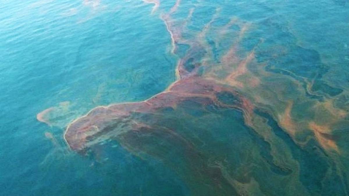 Θαλάσσια ρύπανση σε αλιευτικό καταφύγιο στη Θεσσαλονίκη