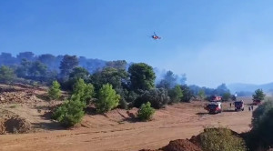 Οριοθετήθηκε η φωτιά στην Αγία Μαρίνα Παιανίας - Επιχειρούν ισχυρές δυνάμεις της Πυροσβεστικής