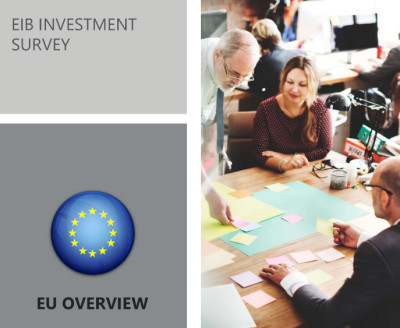 Έρευνα Ευρωπαϊκής Τράπεζας Επενδύσεων: Έλλειμμα της Ελλάδας στις «πράσινες» επενδύσεις