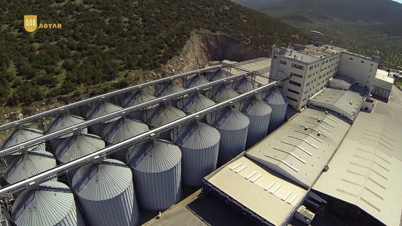 Μύλοι Λούλη: Ανάπτυξη σε αγορές εξωτερικού και δημιουργία νέων προϊόντων