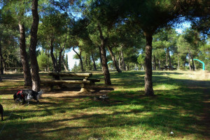 Καύσωνας: Απαγόρευση κυκλοφορίας στο Σέιχ Σου και δάση της Θεσσαλονίκης