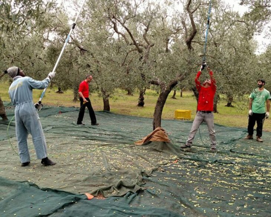 Σςς... ήσυχα, μην κάνετε θόρυβο… Θα μας ακούσει ο Βελόπουλος