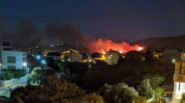 Φωτιά στη Νέα Μάκρη: Εκδηλώθηκαν ταυτόχρονα 4 πύρινα μέτωπα-Απειλούνται σπίτια