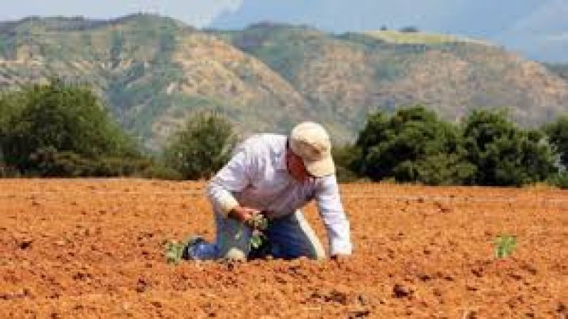 Επικρίσεις και κυβερνητικών βουλευτών για καθυστερήσεις στη διευθέτηση των κόκκινων δανείων