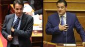 Εκλογές ΝΔ: Μήνυμα Γεωργιάδη - «Θα στηρίξω Μητσοτάκη»
