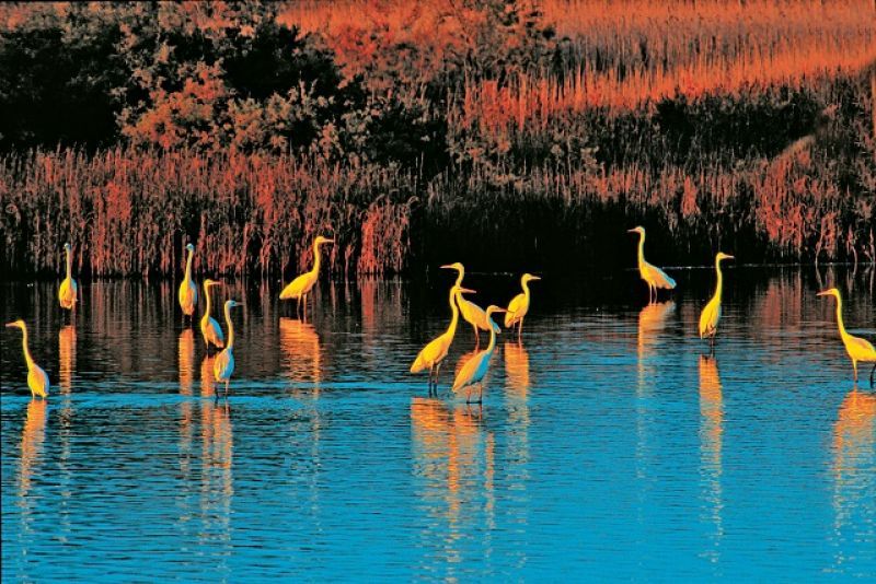 Ψυχαγωγικό υδάτινο πάρκο 500.000 ευρώ στη λίμνη Δοϊράνη
