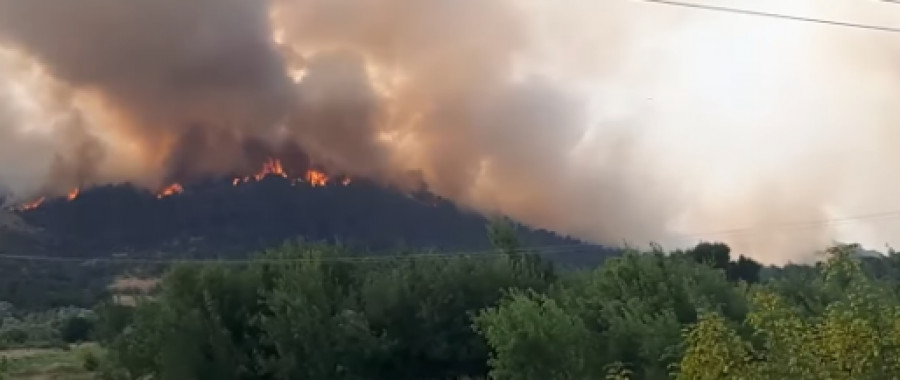 Έβρος: Οι φλόγες καίνε το παρθένο δάσος της Δαδιάς