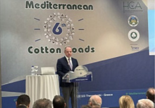 Σταμενίτης: Εθνικό εμβληματικό προϊόν το βαμβάκι, να το στηρίξουμε περισσότερο