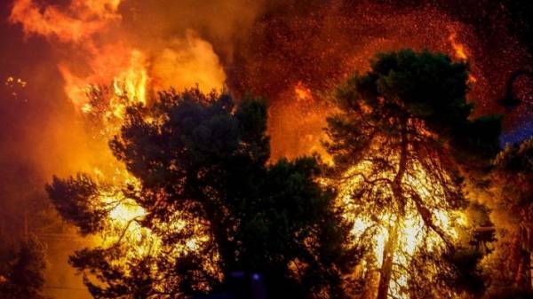 Πρώτη μήνυση από πολίτη για την πυρκαγιά στην ανατολική Αττική