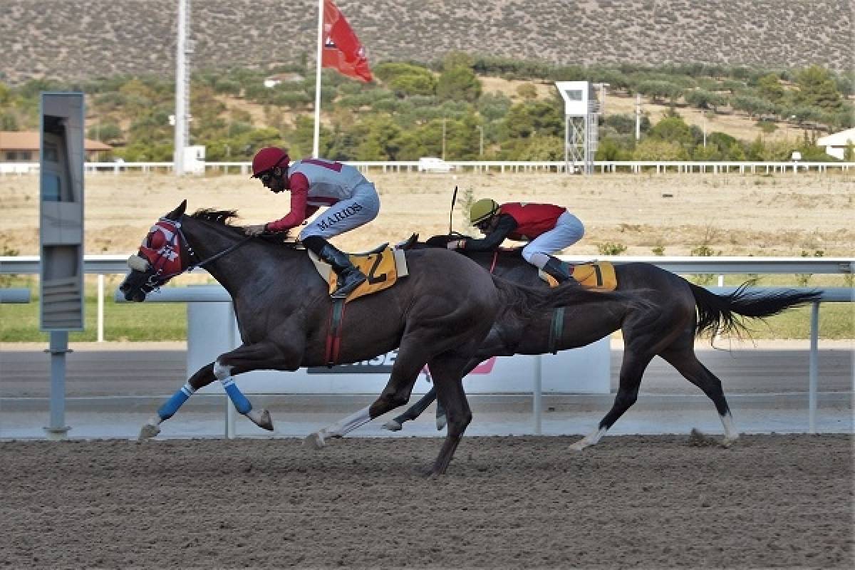 Markopoulo Park: Όλα τα βλέμματα στο Κύπελλο SUMMER SPRINT