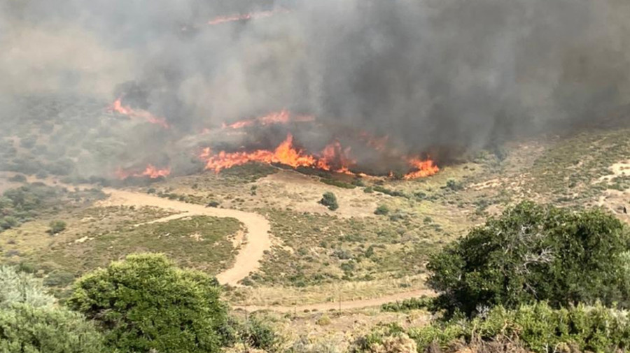 38 δασικές πυρκαγιές σε ένα 24ωρο-Στην Κάρυστο το σοβαρότερο μέτωπο