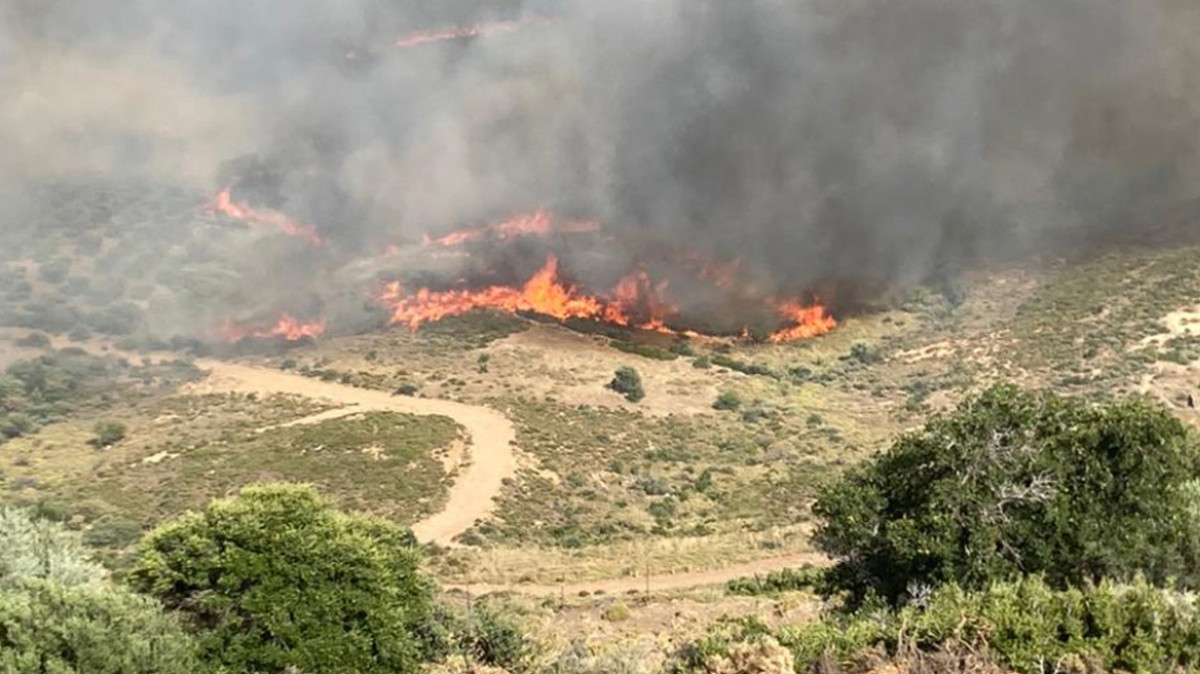 38 δασικές πυρκαγιές σε ένα 24ωρο-Στην Κάρυστο το σοβαρότερο μέτωπο