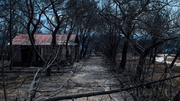 Από Νοέμβριο κατάλληλο ξανά για διαμονή το Μάτι
