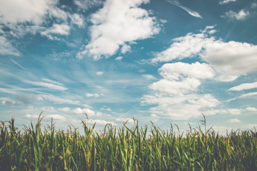 Agro-U: Βρίσκει δουλειές στον κλάδο αγροδιατροφής με ένα κλικ