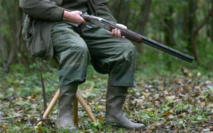 Μέτρα κατά της λαθροθηρίας τρυγονιών στα Ιόνια Νησιά