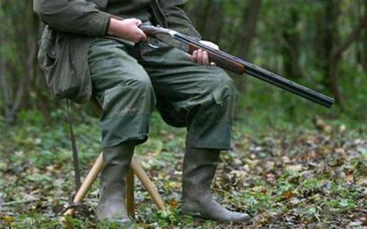 Μέτρα κατά της λαθροθηρίας τρυγονιών στα Ιόνια Νησιά