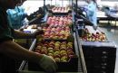Έκτακτα μέτρα στήριξης παραγωγών οπωροκηπευτικών λόγω των Ρωσικών απαγορεύσεων
