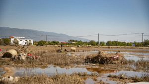 Πρώτος θάνατος από λεπτοσπείρωση στη Θεσσαλία- Δύο άτομα νοσηλεύονται