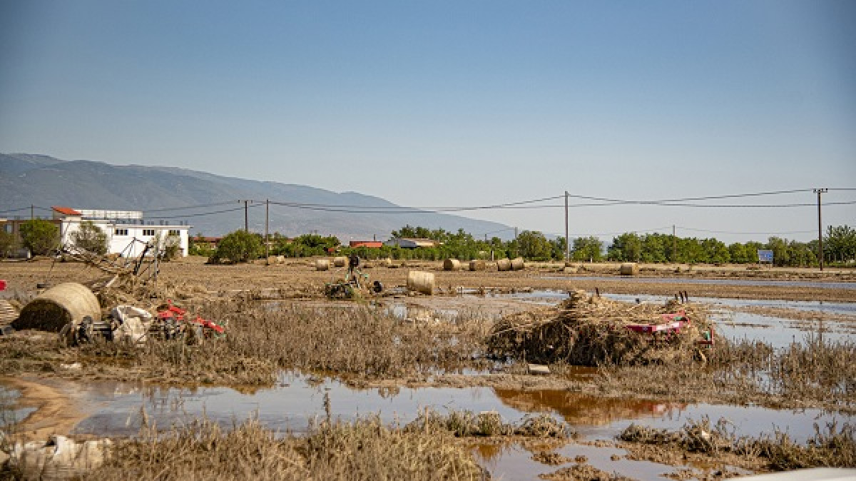 Πρώτος θάνατος από λεπτοσπείρωση στη Θεσσαλία- Δύο άτομα νοσηλεύονται