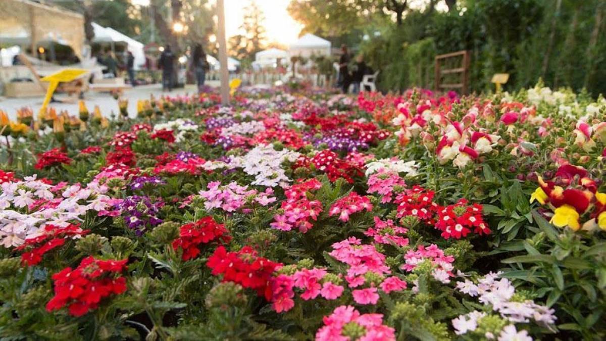 Κομισιόν: «Πράσινο φως» στις ενισχύσεις €10 εκατ. σε εταιρείες ανθοκομίας