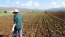 Πέντε νέα προγράμματα 1,5 δισ. ευρώ για τους αγρότες από Οκτώβριο