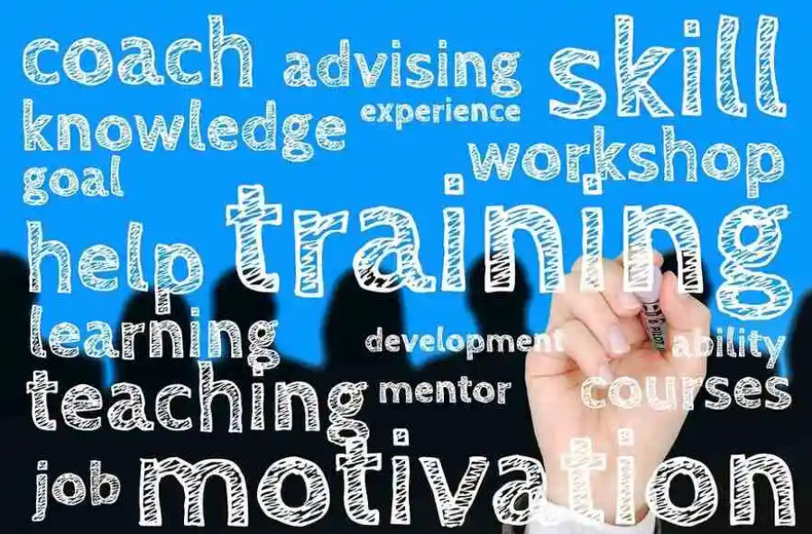 Training vs Coaching vs Mentoring: Ομοιότητες και Διαφορές