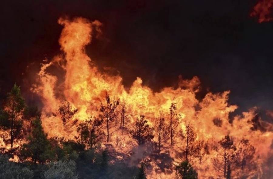 Συνελήφθη εμπρηστής στον Μαραθώνα- Ήθελε να βλέπει πυροσβέστες να τρέχουν!