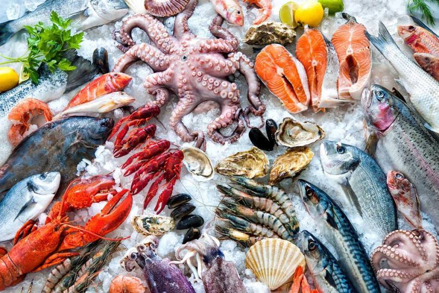 EOΔY: Οδηγίες για ασφαλή κατανάλωση θαλασσινών- οστρακοειδών τη Σαρακοστή