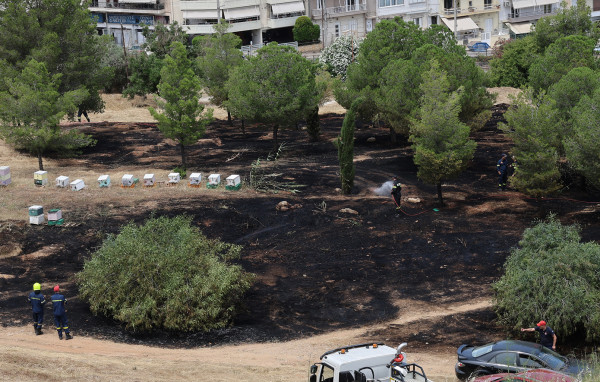 Άλσος Βεΐκου: Συνελήφθη 45χρονος μελισσοκόμος για τη φωτιά – Πρόστιμο €3.557