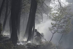 Φωτιές στην Αττική: Τα μέτρα στήριξης για τους πυρόπληκτους