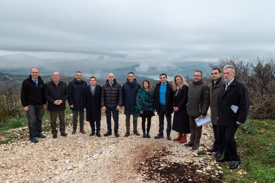 Παπαστράτος: Ο ετήσιος απολογισμός του προγράμματος αναδάσωσης στην Αττική