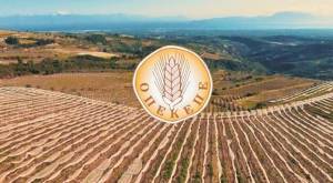 Πληρωμές 20,3 εκατ. ευρώ από τον ΟΠΕΚΕΠΕ