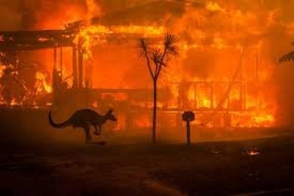 Αυστραλία: Έχει απανθρακωθεί διπλάσια έκταση από αυτή του Βελγίου