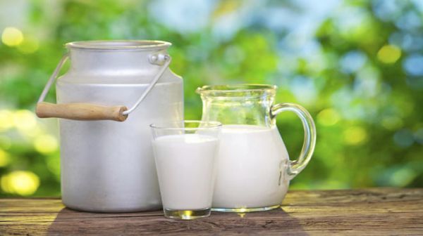 Γάλλοι πλουτίζουν με το ελληνικό γίδινο γάλα