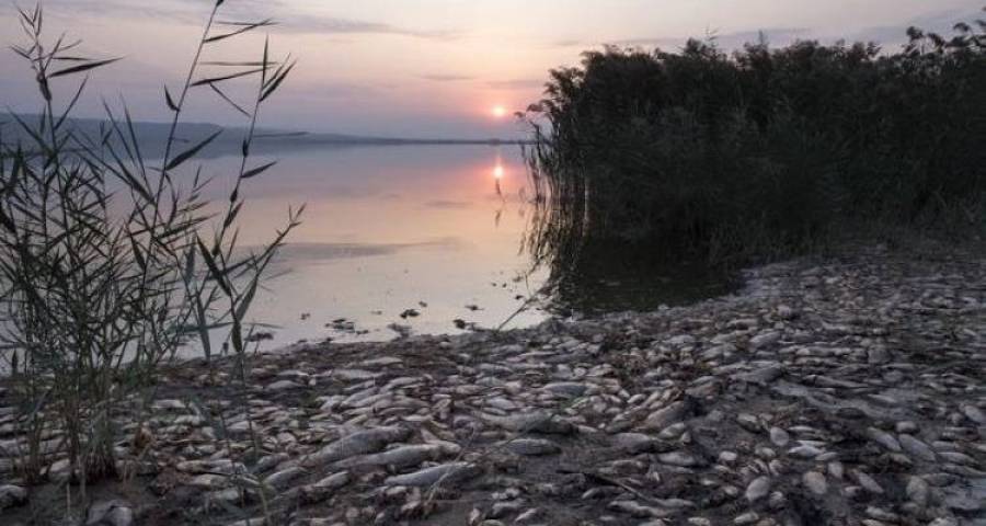 Με απόφαση Χατζηδάκη συντονιστής για την Κορώνεια ο Χ. Βλαχοκώστας