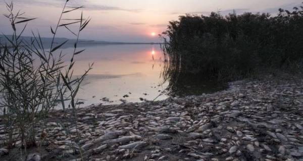 Με απόφαση Χατζηδάκη συντονιστής για την Κορώνεια ο Χ. Βλαχοκώστας