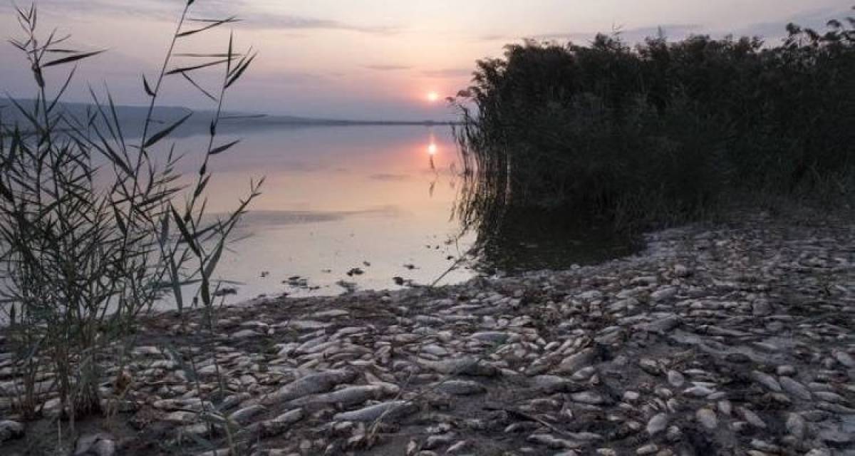 Με απόφαση Χατζηδάκη συντονιστής για την Κορώνεια ο Χ. Βλαχοκώστας